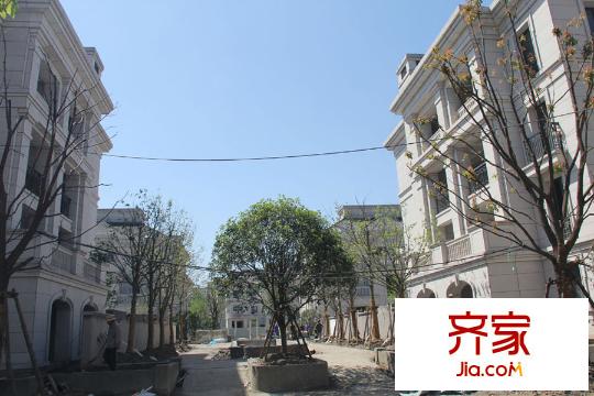 星運麗園蘭逸園區(qū)綠化（2015.05.13）