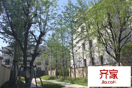 星運(yùn)麗園蘭逸園區(qū)景觀（2015.05.13）