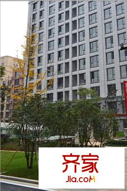 盛奧西溪銘座樓棟建設(shè)進(jìn)度（2014.12）