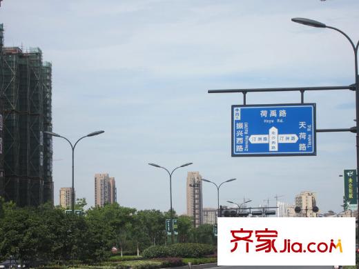 綠城蓮園附近的道路