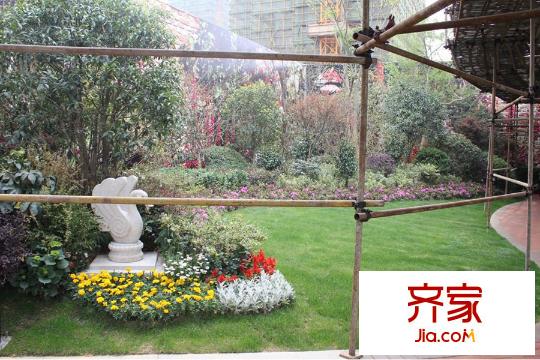 保億麗景山松果現(xiàn)場(chǎng)實(shí)景（2014.7）