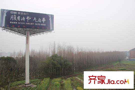 萬科良渚文化村未來城旁邊的道路