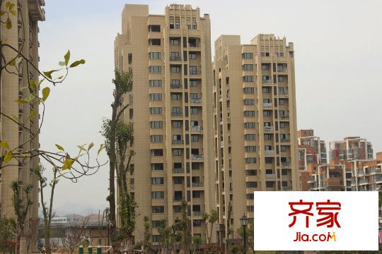 贊成一品樓棟建設(shè)進(jìn)度（2015-3-13）