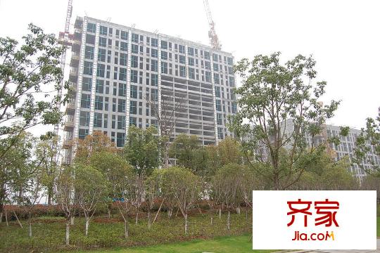 西溪泊岸工程進(jìn)度實(shí)景（2015.3）