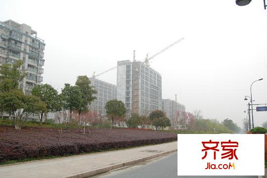 西溪泊岸工程進(jìn)度實(shí)景（2015.3）