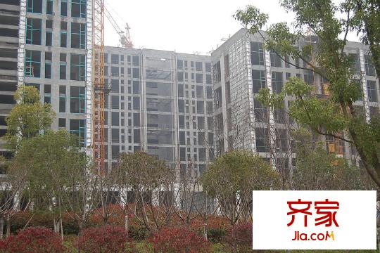西溪泊岸工程進(jìn)度實(shí)景（2015.3）