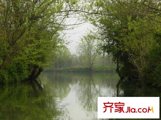 新湖果嶺項(xiàng)目附近的西溪國(guó)家濕地公園