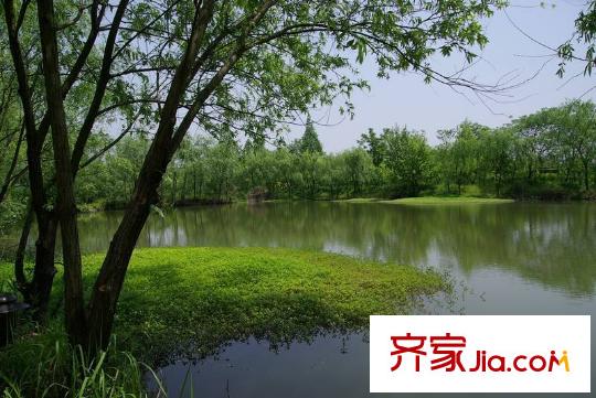 國恒西溪公館周邊的西溪國家濕地公園