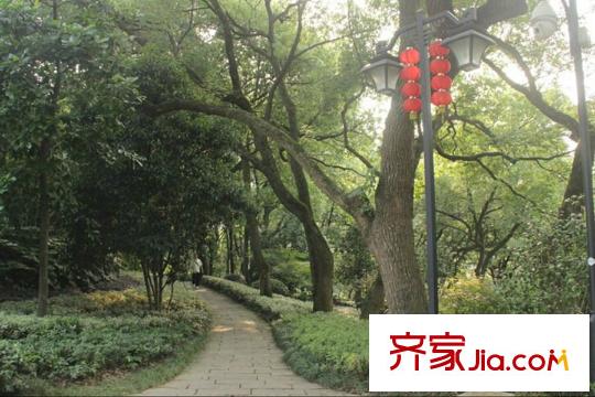 杭州美致生活廣場周邊的公園