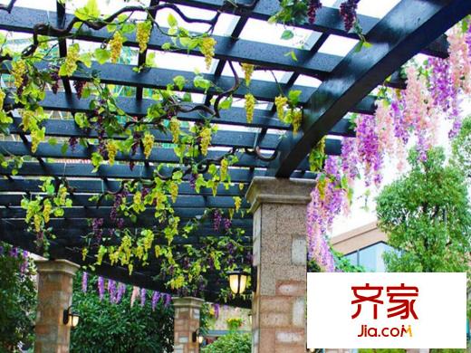 碧桂園濱湖城