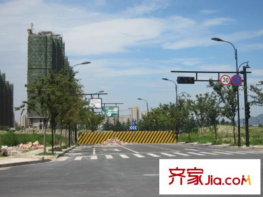 綠城蓮園附近將修的道路