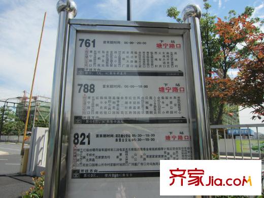 綠城蓮園附近的公交站