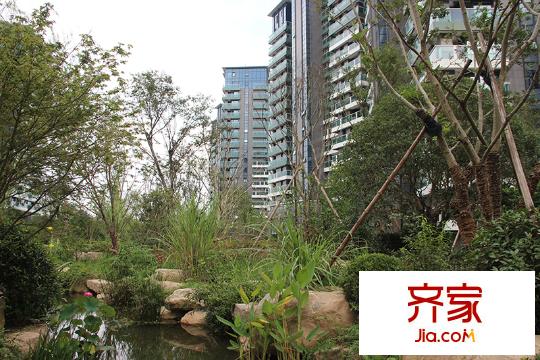 綠城之江1號東區(qū)園景（2014.08.13）