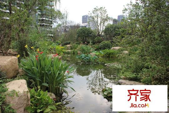 綠城之江1號(hào)東區(qū)園景（2014.08.13）
