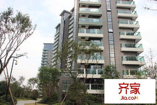 綠城之江1號(hào)東區(qū)園景（2014.08.13）