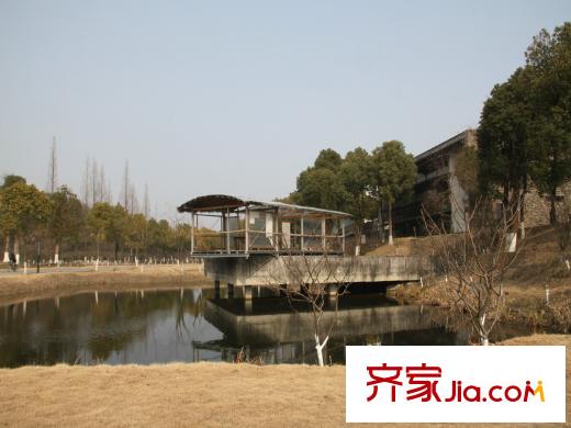 綠城之江1號周邊配套 中國美術(shù)學院