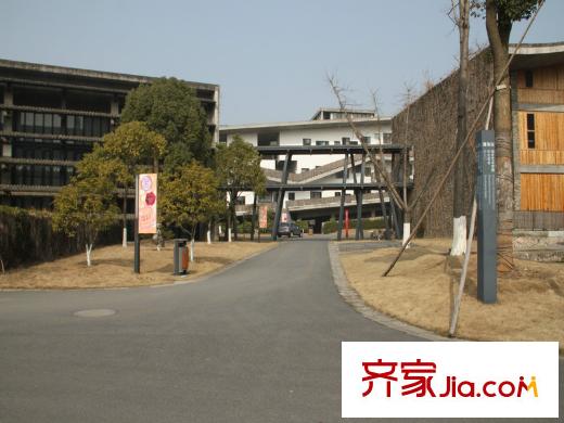 綠城之江1號周邊配套 中國美術(shù)學(xué)院