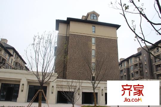 萬科良渚文化村秋荷坊（2015.3.19）
