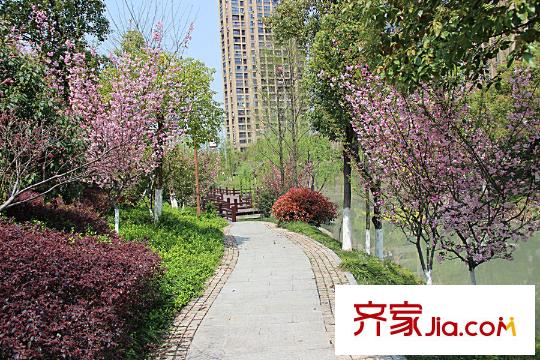 凱文杭莊附近河道景觀
