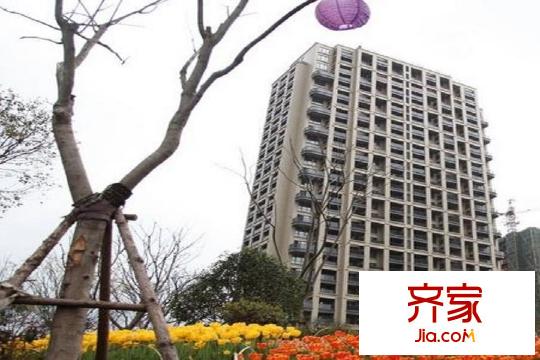 新湖果嶺園區(qū)（2015-10-13）