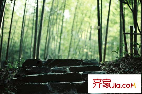 華潤新鴻基之江九里云棲竹徑(山景)