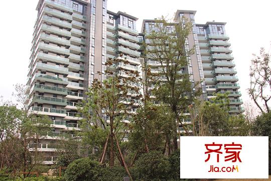 綠城之江1號(hào)