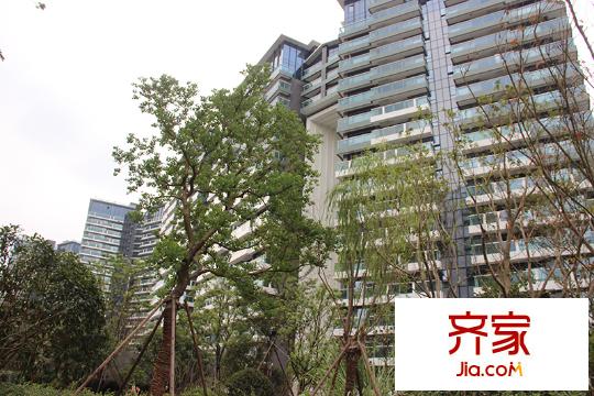 綠城之江1號(hào)東區(qū)園景（2014.08.13）