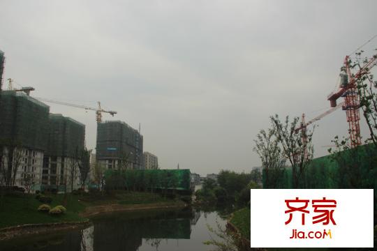 富力西溪悅居溪區(qū)沿河（2015.6.2）