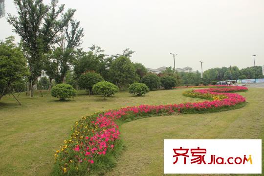 富力西溪悅居溪區(qū)沿街綠化