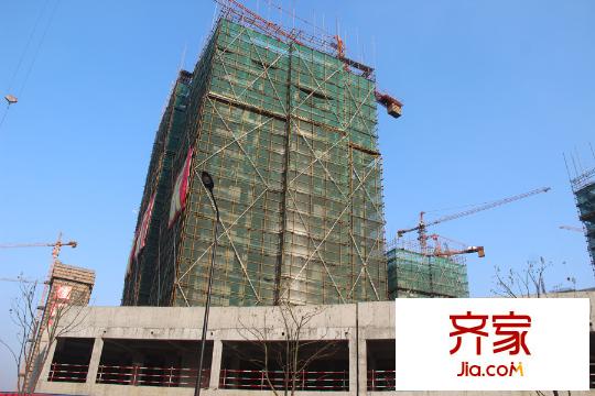 贊成杭家（2015.03.31）