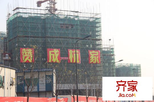 贊成杭家（2015.03.31）
