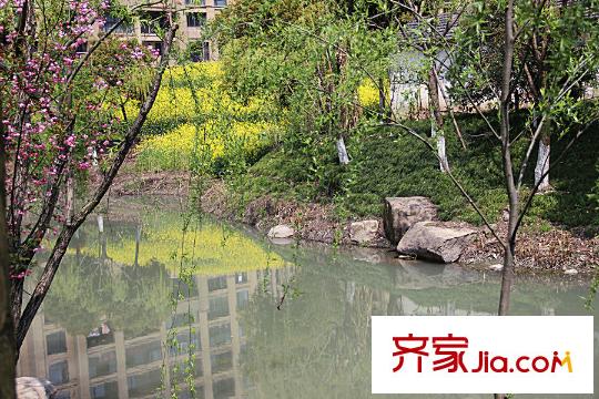 凱文杭莊附近河道景觀