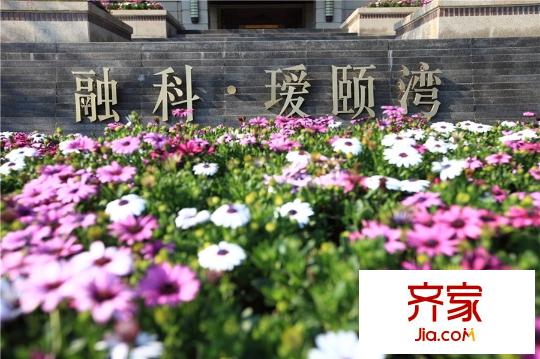 融科璦頤灣售樓處外面綠化（2015.4.8）