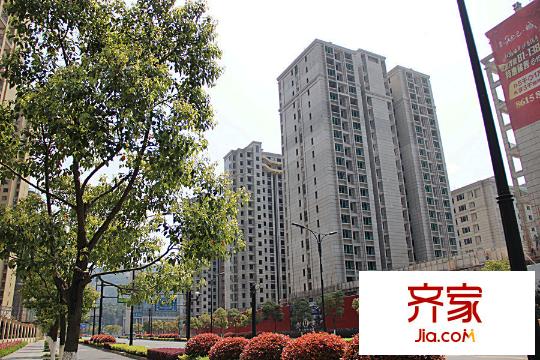 萊茵知己項(xiàng)目現(xiàn)場（2015.3.31）