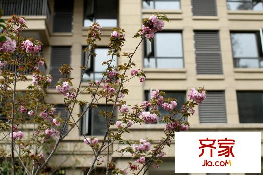 復(fù)地上城（2013-7-1）