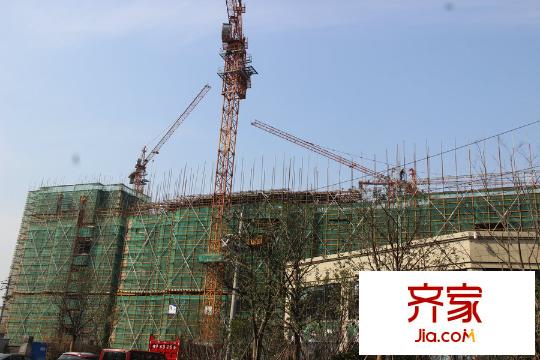 德信早安（2015-3-10）