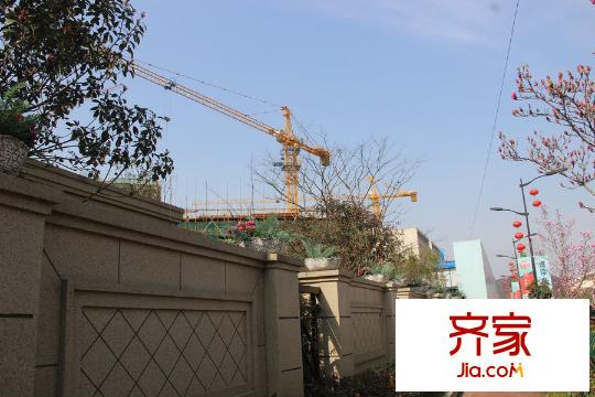 德信早安（2015-3-10）
