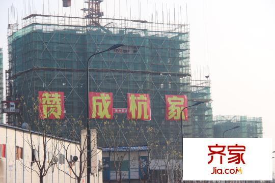 贊成杭家