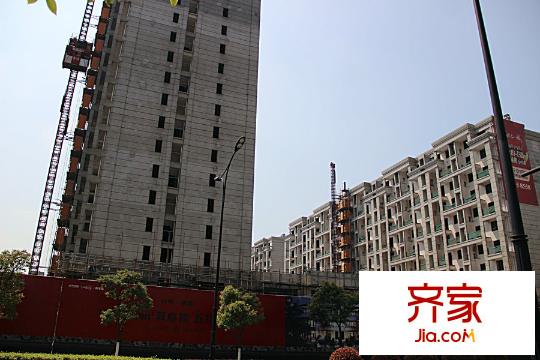 萊茵知己項(xiàng)目現(xiàn)場（2015.3.31）