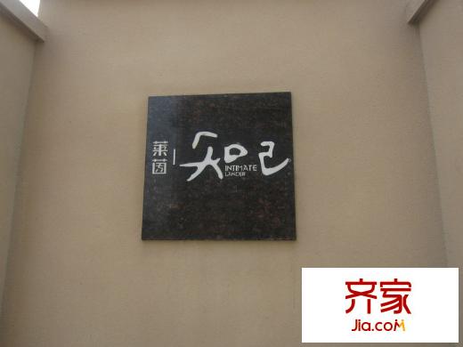 萊茵知己