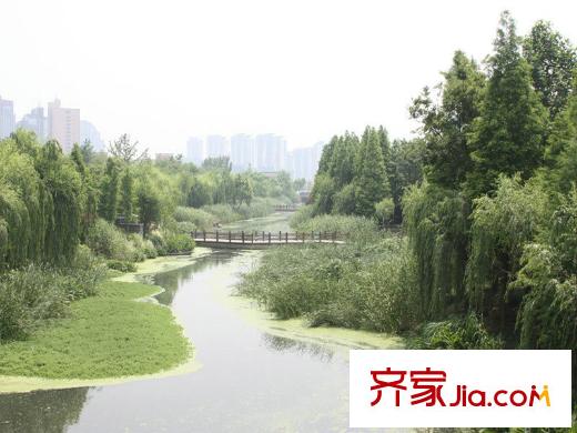 金帝海珀附近水景公園