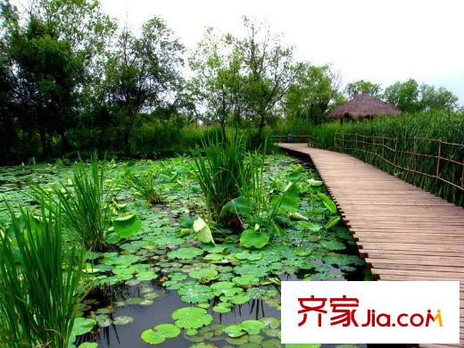 復(fù)地上城附近的西溪濕地