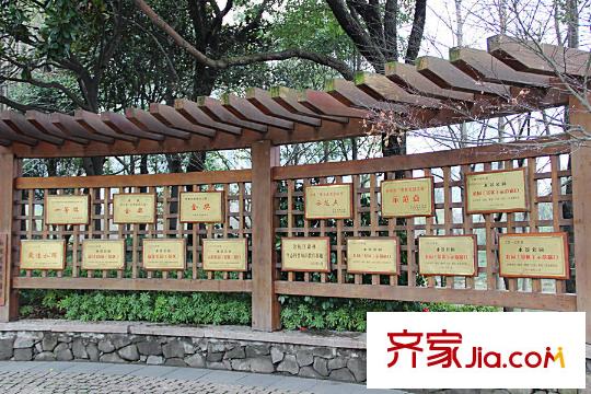 理想康城一品零距離的水景公園