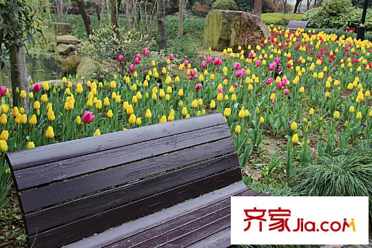 理想康城一品零距離的水景公園