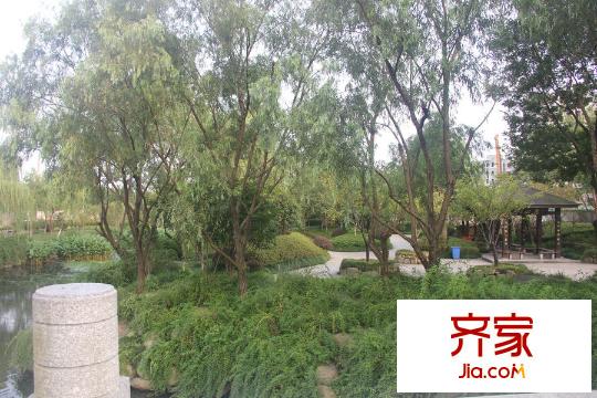 聯(lián)合畔上居綠化實景（2015-8-19）
