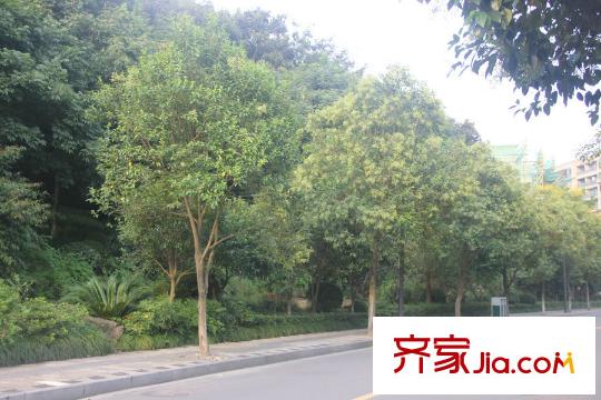 聯(lián)合畔上居附近山景