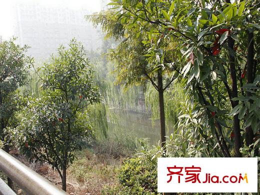 陽光郡附近綠化
