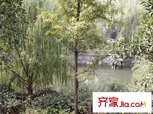 陽(yáng)光郡附近綠化