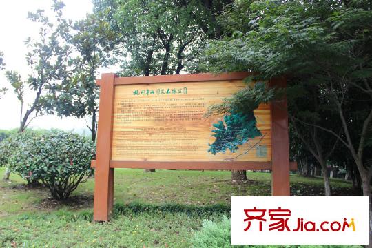 中興御田清庭半山國家森林公園