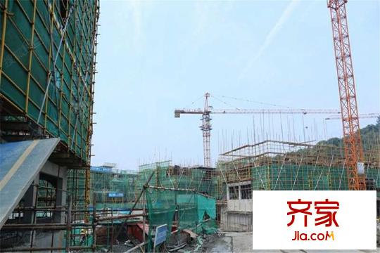 中興御田清庭（2015.7.30）